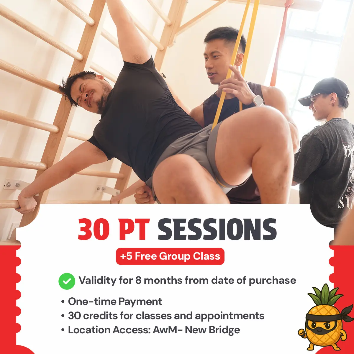 30 PT Sessions