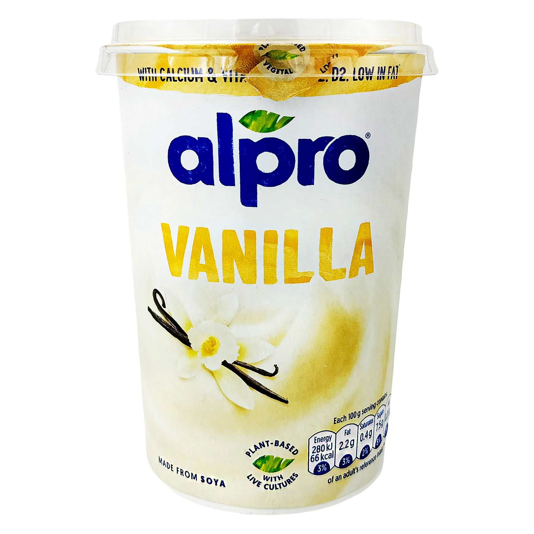 Vanilla